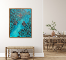 Load image into Gallery viewer, Three Rays II