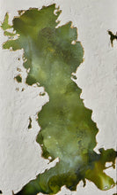 Load image into Gallery viewer, Celestial